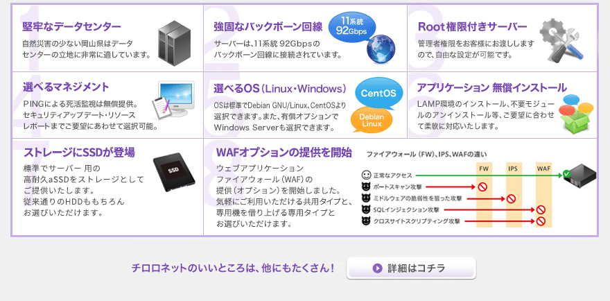 チロロネット専用サーバーの特徴