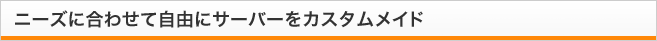 ニーズに合わせて自由にサーバーをカスタムメイド