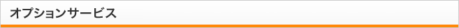 オプションサービス