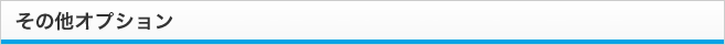 その他オプション