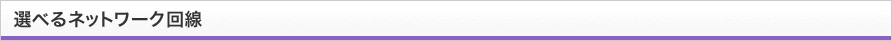 選べるネットワーク回線