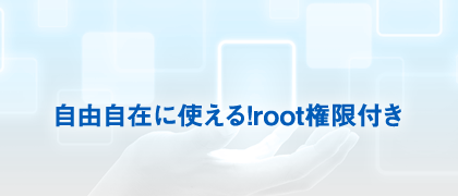 自由自在に使える！root権限付き